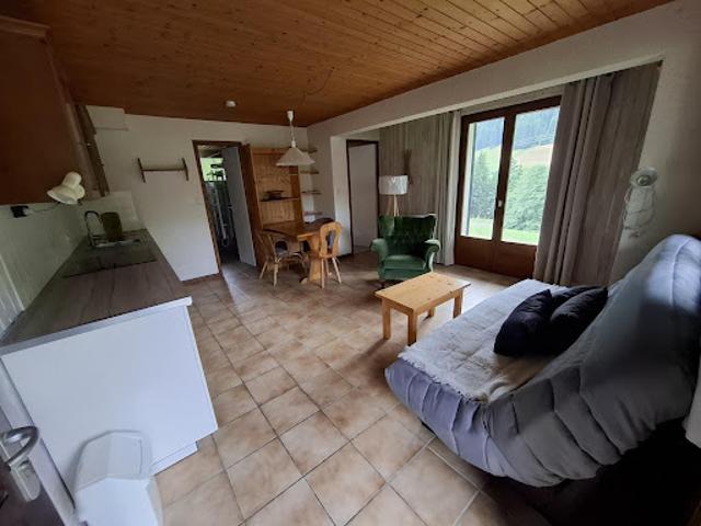 Appartement location à Thonon-les-Bains, Abondance