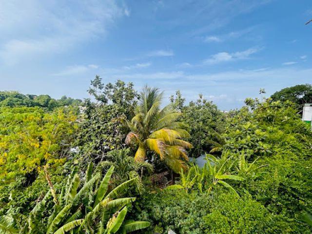 Appartement location à Guadeloupe