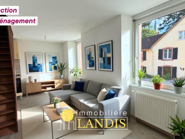 Appartement location à Sélestat-Erstein, Ville