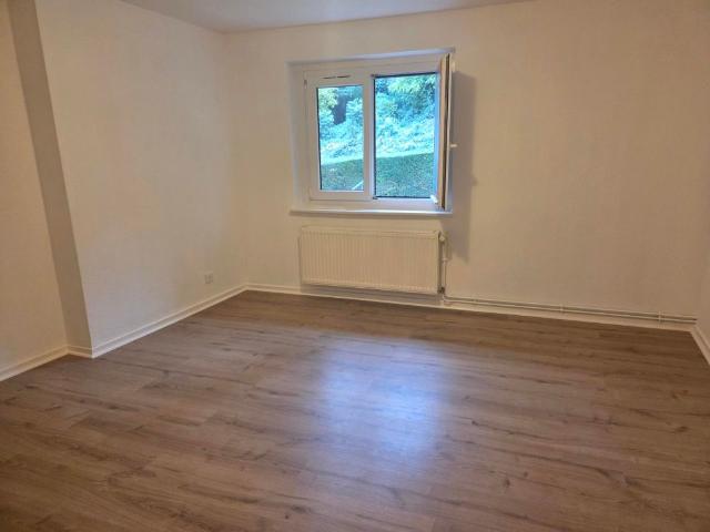 Appartement location à Klepferhof, Hagenthal-le-Bas