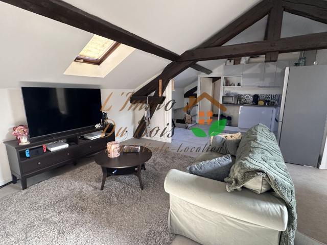 Appartement location à Saint-Étienne, Chavanay