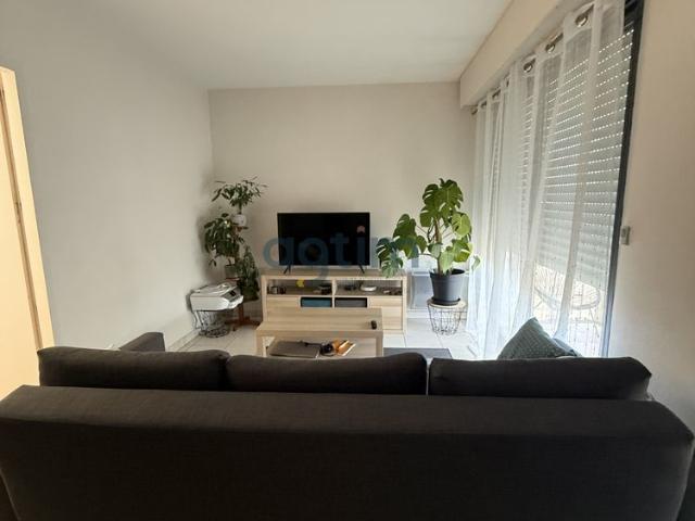 Appartement location à La Roche-sur-Yon, Montaigu