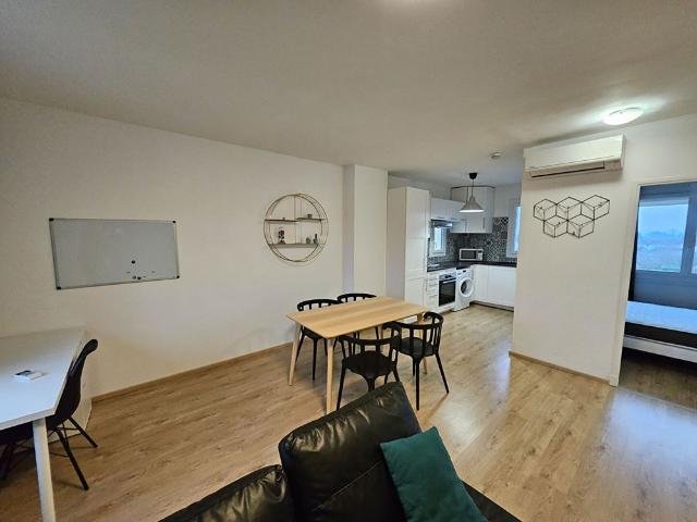 Appartement location à Albi
