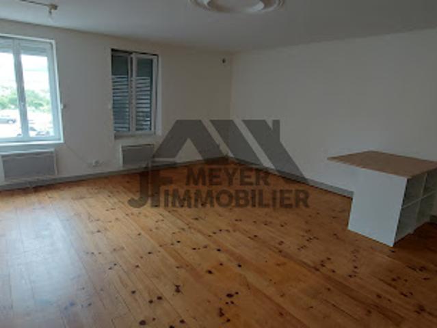Appartement location à Nancy, Belleville