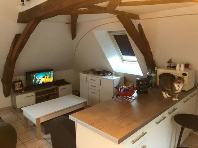 Appartement location à Angers, Tiercé