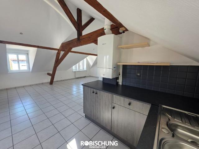 Appartement location à Altkirch
