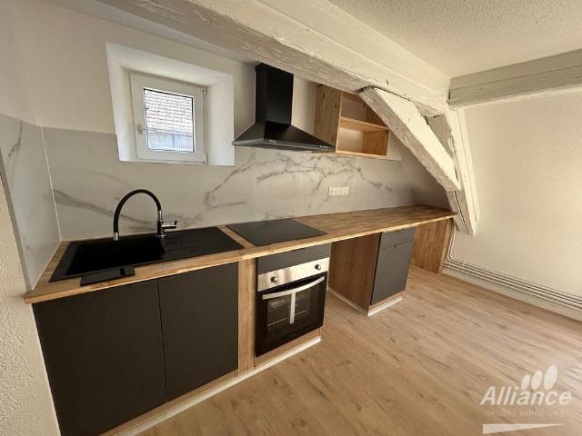 Appartement location à Belfort, Delle