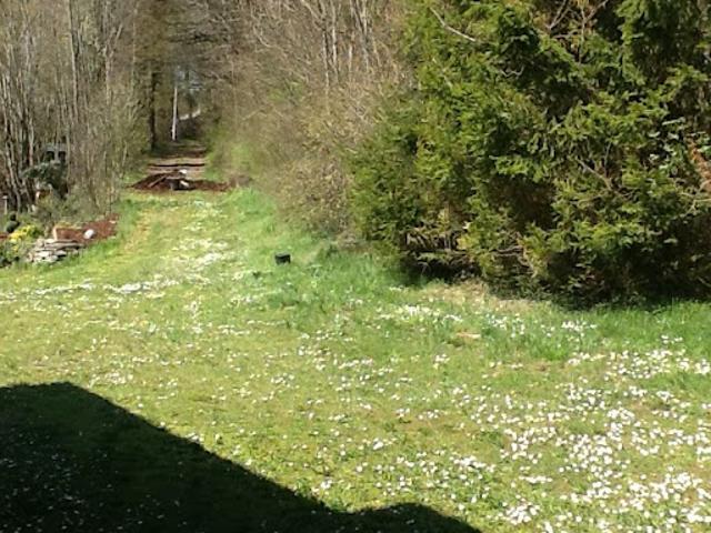 Appartement location à Altkirch, Raedersdorf