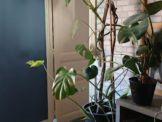 Appartement location à Saint-Jean-d'Angély, Saint-jean-d'angély