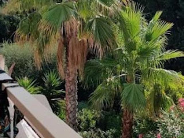 Appartement location à Grasse, Antibes