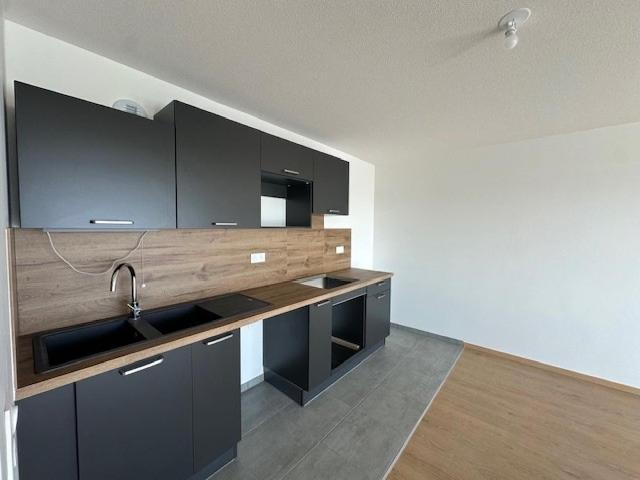 Appartement location à Haguenau-Wissembourg, Haguenau