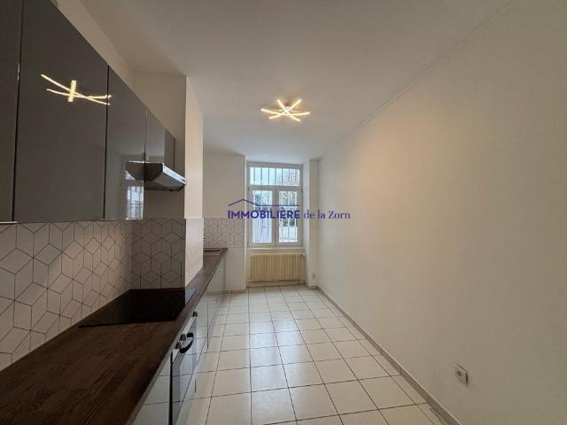 Appartement location à Haguenau-Wissembourg, Brumath