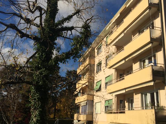 Apartment mieten in Pully, Waadt