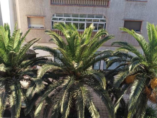 Appartement location à Dar Bouazza, Gharb-Chrarda-Beni Hssen