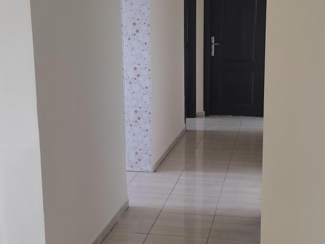 Appartement location