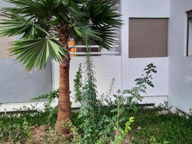 Appartement location à Salé