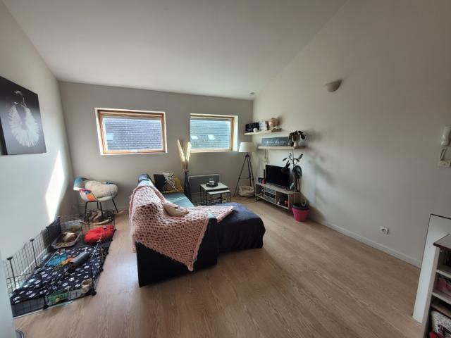 Appartement location à Lille, Loos