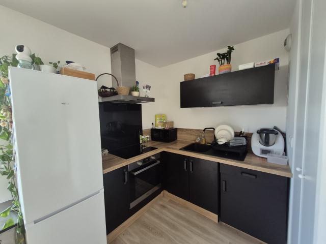 Appartement location à Lille