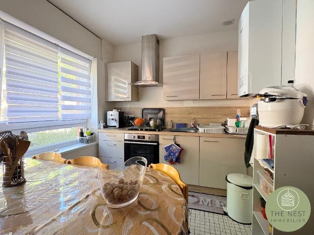 Appartement location à Colmar, Collectivité européenne d'Alsace
