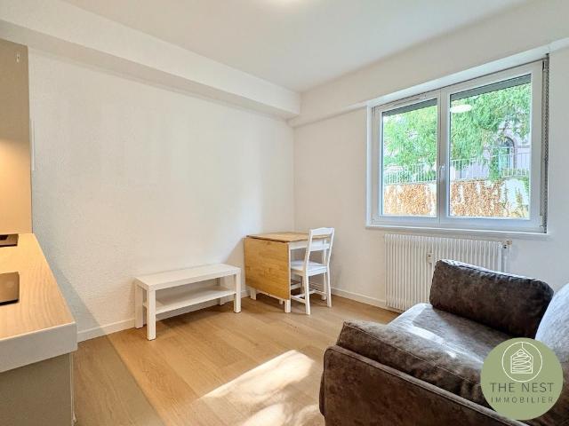 Appartement location à Colmar-Ribeauvillé, Colmar