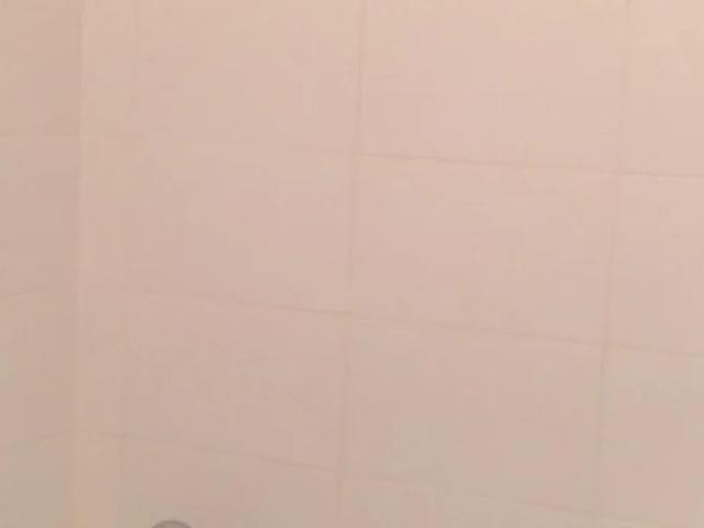 Appartement location à Toulouse, Castelginest