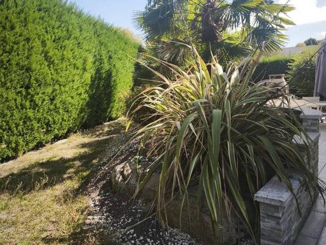 Appartement location à Bressuire