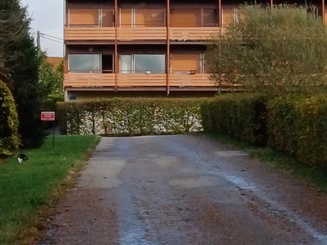 Appartement location à Xonrupt-Longemer, Vosges