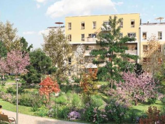 Appartement location à Mulhouse, Collectivité européenne d'Alsace