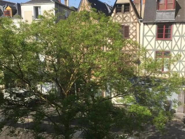 Appartement location à Tours