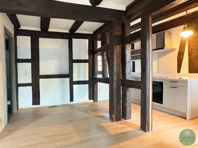 Appartement location à Colmar-Ribeauvillé, Colmar