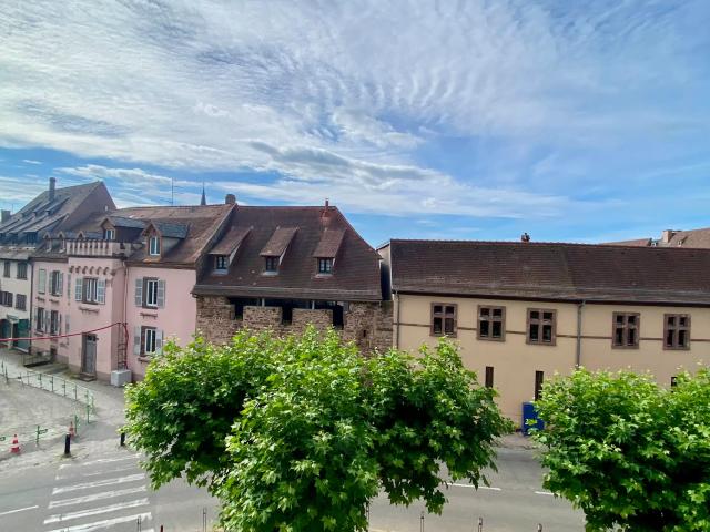 Appartement location à Sélestat-Erstein, Boersch