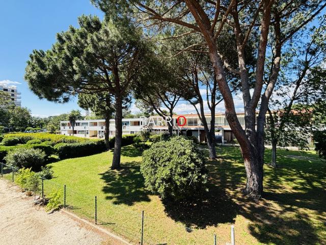 Appartement location à Céret, Argelès-sur-mer