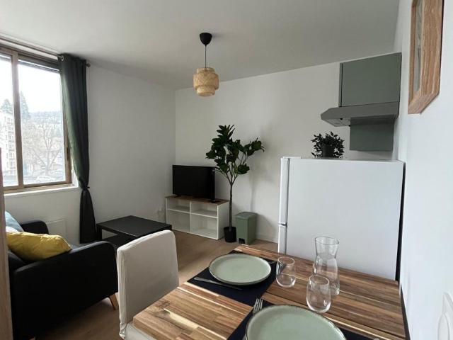 Appartement location à Saint-Étienne, Saint-etienne