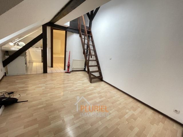 Appartement location à Strasbourg, Hoenheim