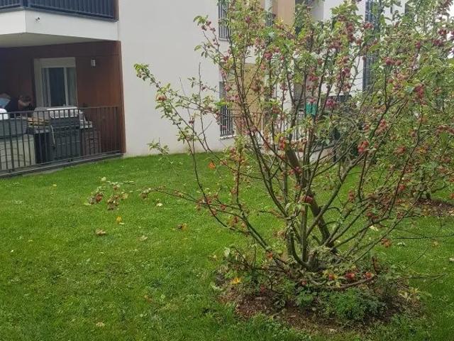Appartement location à Laval, Lentilly