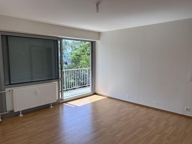 Appartement location à Mulhouse, Rixheim