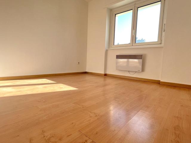 Appartement location à Belfort, Montreux-château