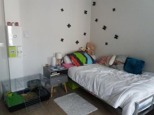 Appartement location à Albi