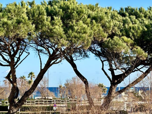 Appartement location à Arrondissement de Draguignan, Sainte-maxime