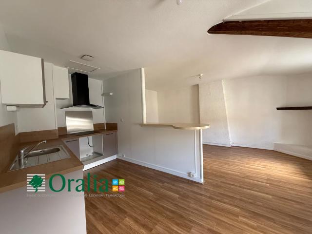 Appartement location à Villefranche-sur-Saône, Rhône