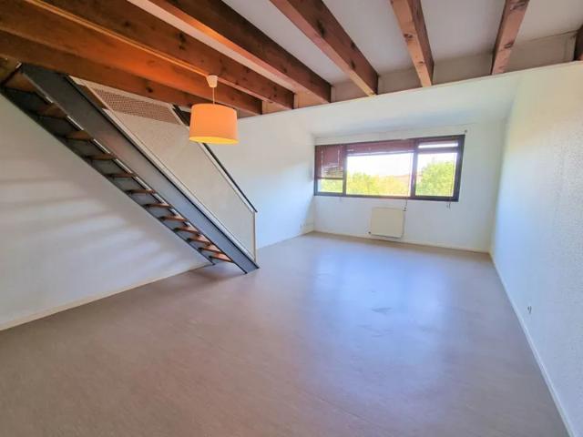 Appartement location à Albi