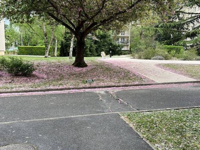 Appartement location à Évry, Petit-bourg