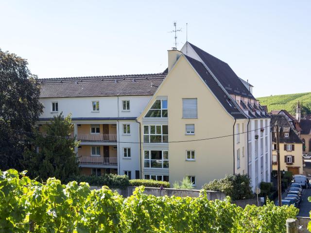 Appartement location à Colmar-Ribeauvillé, Ribeauville