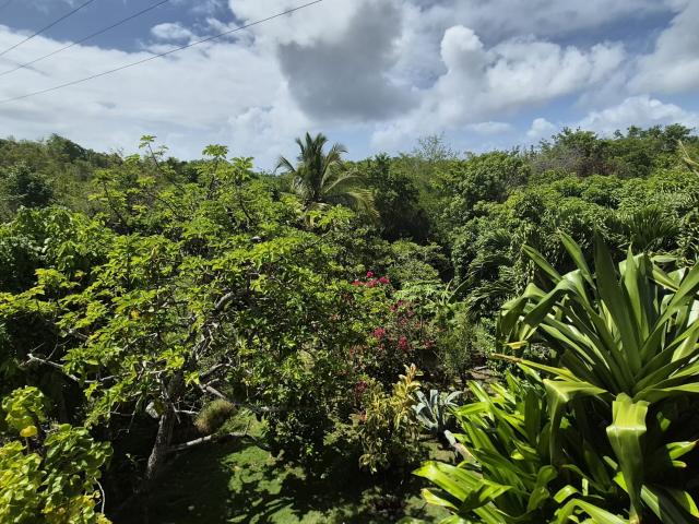 Appartement location à Guadeloupe