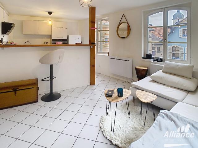 Appartement location à Belfort, Delle