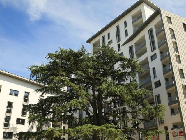 Appartement location à Vilmorin, Massy