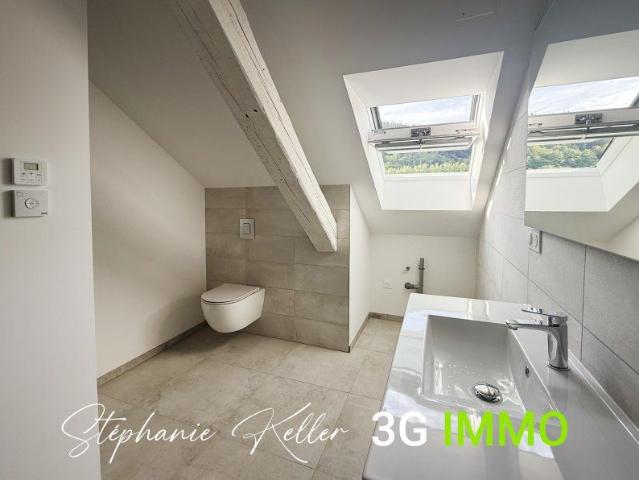Appartement location à Colmar-Ribeauvillé, Lièpvre