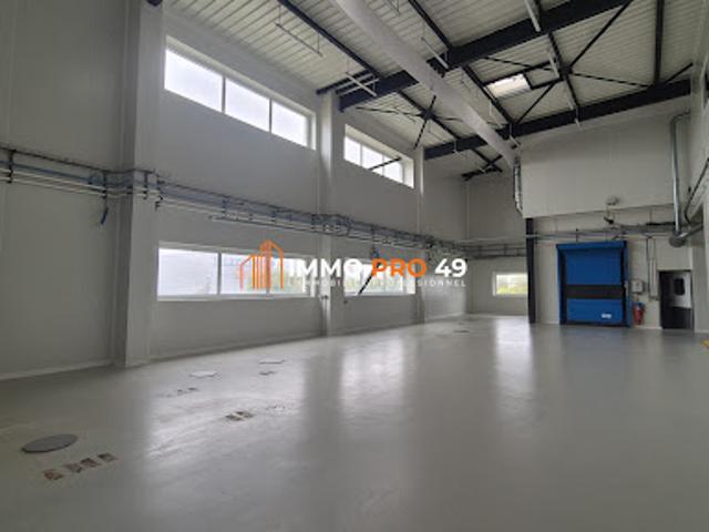 Local Commercial location à Les Sables-d'Olonne, Château-d'olonne