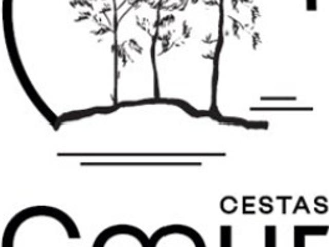Local Commercial location à Bordeaux