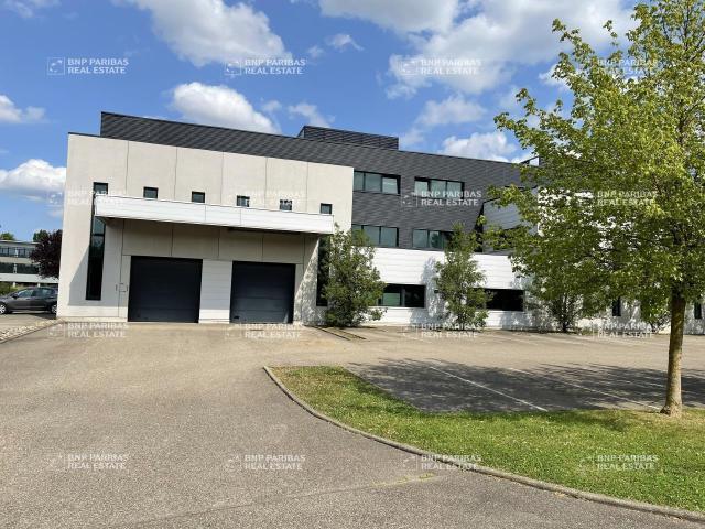 Bureau location à Strasbourg, Entzheim